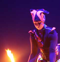 fire show, fire performance, circus, Australia, international